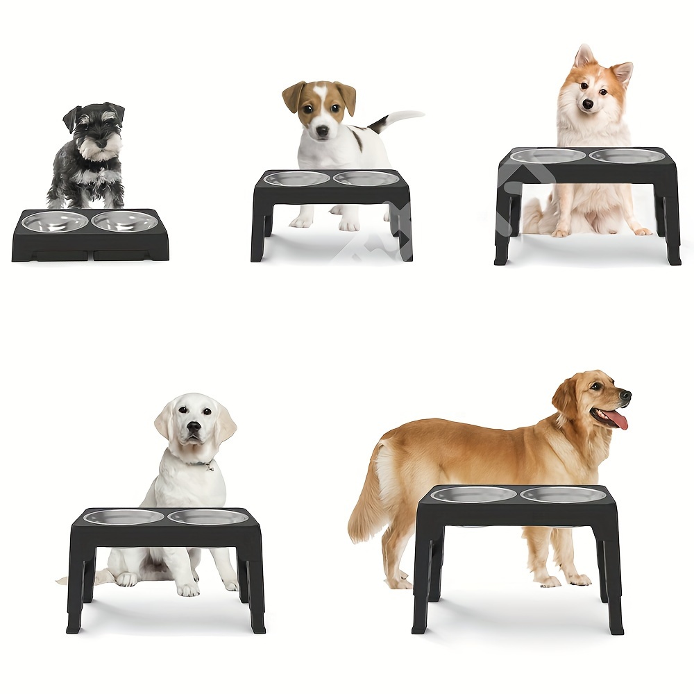 Elevated Dog Double Bowls 5 Adjustable Heights Raised Dog - Temu