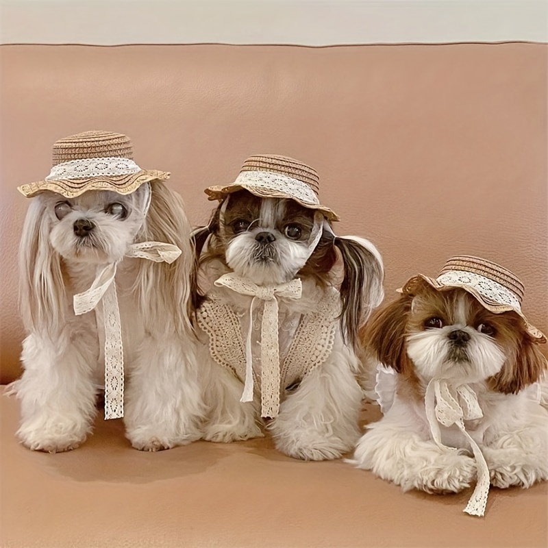 Small Dog Hats - Temu