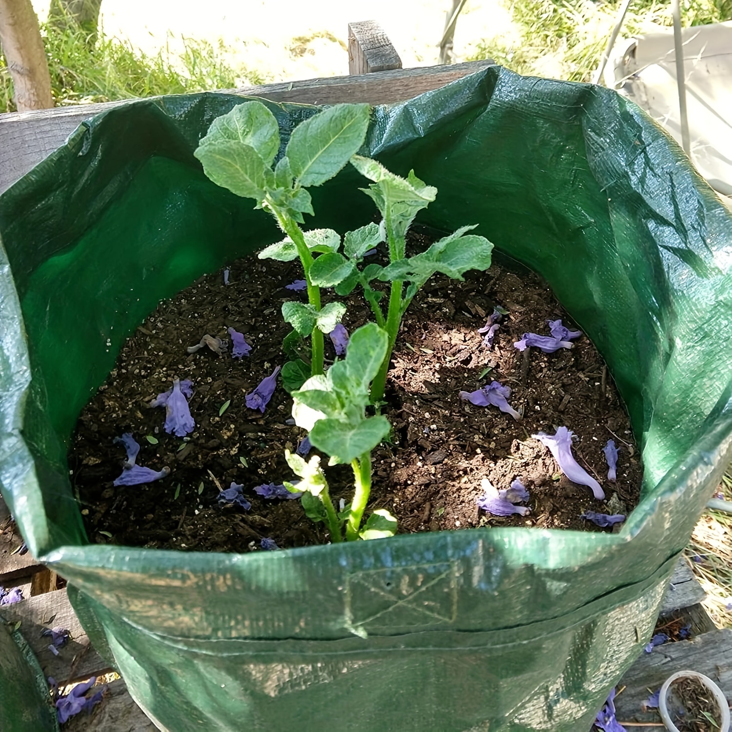 Potato Grow Bags Pe Planting Growing Bag With Flap And - Temu