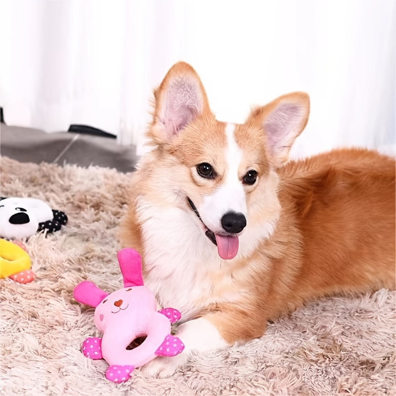 dog training with stuffed animals