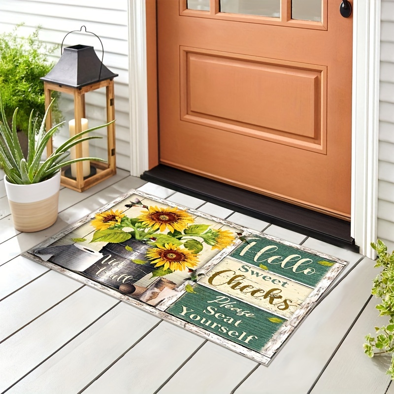 Sweet Apartment Doormat, Welcome Mat, Door Mat, Outdoor Rug, Apartment  Decor