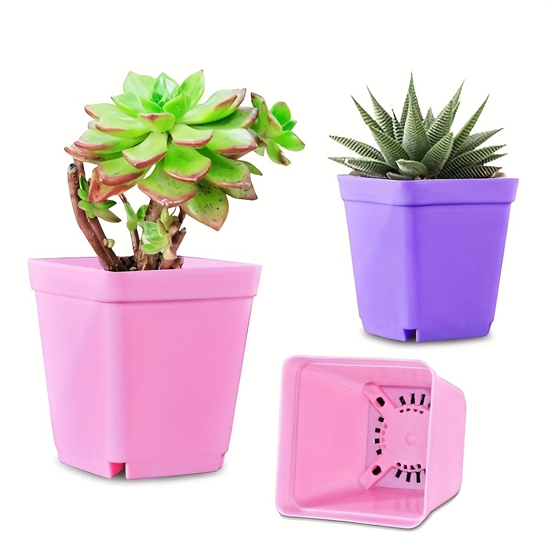 Pot de fleur succulent en plastique coloré, petit pot de semis