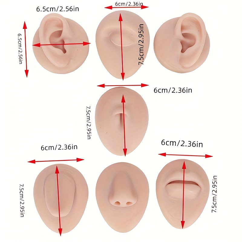 Body Piercing Practice Model Simulation Ear Model Soft Nose Tongue Model  Silicone for Beginners (Medium Skin Color)