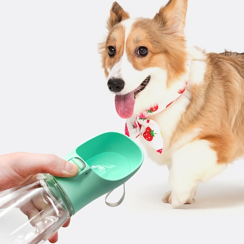 Portable water container top for dogs