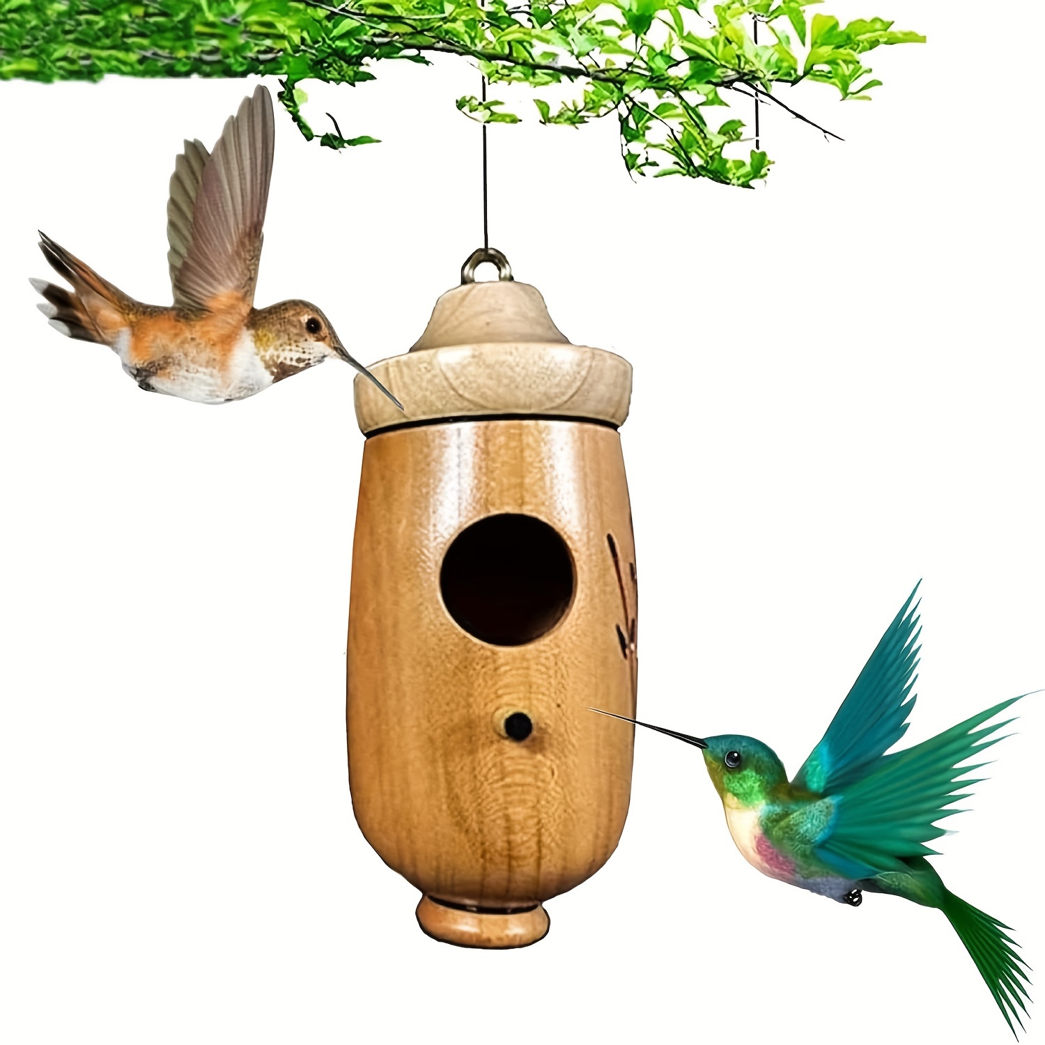 Dificato Maisons à colibris à suspendre à l'extérieur | jardin en bois  naturel hêtre pour colibris | Maisons à oiseaux pour trogne, hirondelle