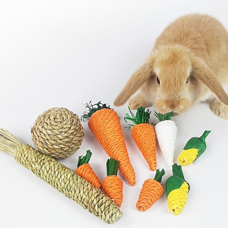 Juguetes Masticar Conejos Moler Dientes Mascotas Animales - Temu