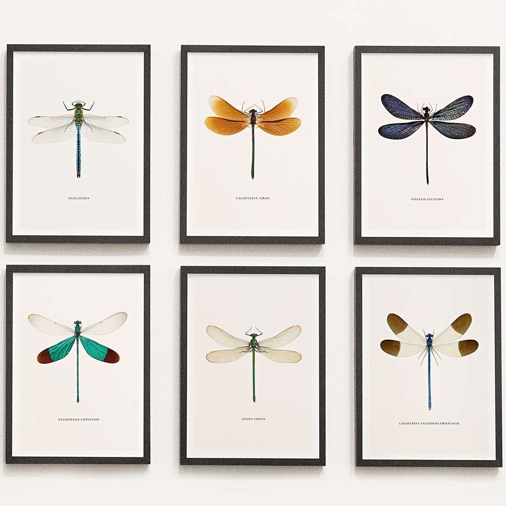6pcs Dragonfly Specimen Art Posters for Home Decor - A5 A4 A3 A2 Sizes