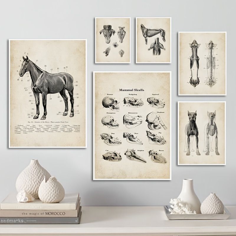 7 Pcs Dog Horse Animal Anatomy Canvas Painting Posters Vintage Skeleton  Skull No Frame Printed Wall Art Pictures 21x30cm Home Room Decoration |  High-quality & Affordable | Temu
