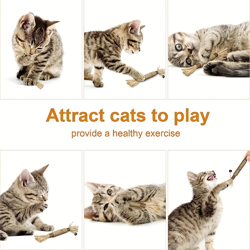 Interactive Cat Toy Set With Silvervine Matatabi Sticks For - Temu