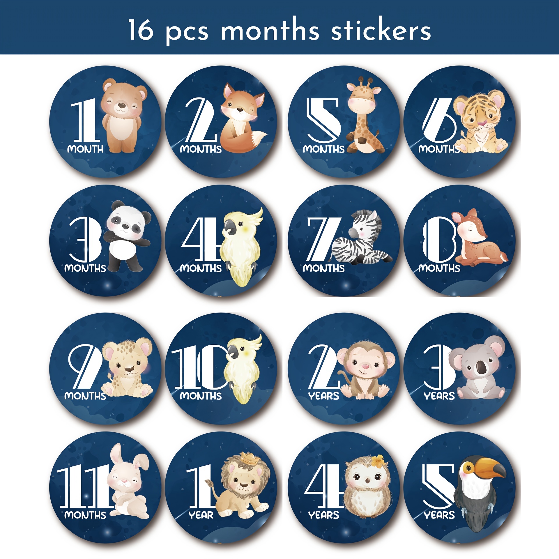 Monthly Stickers Floral Milestone Stickers Cute Creative - Temu