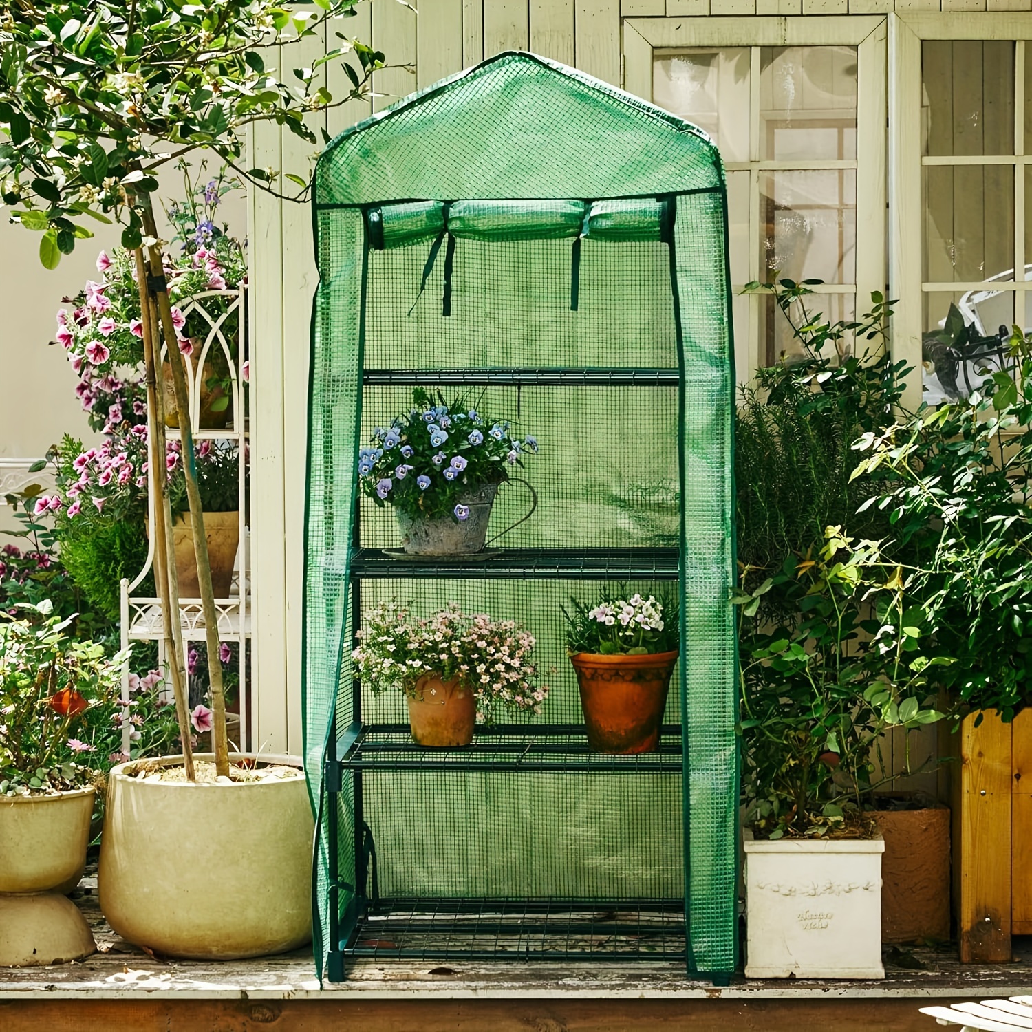 ASSR Mini invernadero,Invernadero de plantas pequeñas,Casa verde de jardín  de servicio pesado,Tienda de invernadero portátil con cubierta con
