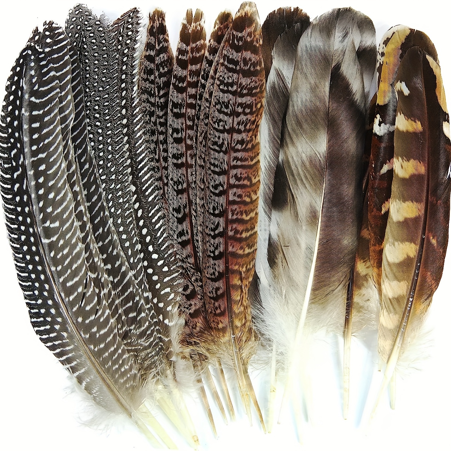 Large Feathers - Temu
