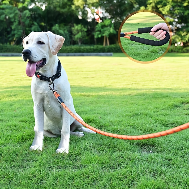 Strong Pet Dog Leash Soft Padded Handle Highly Reflective - Temu