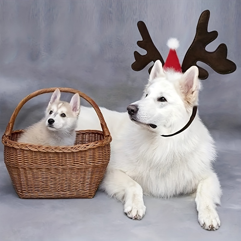 Animaux de compagnie chien de Noël chiot animal de compagnie bois de cerf  Headband Noël Rennes