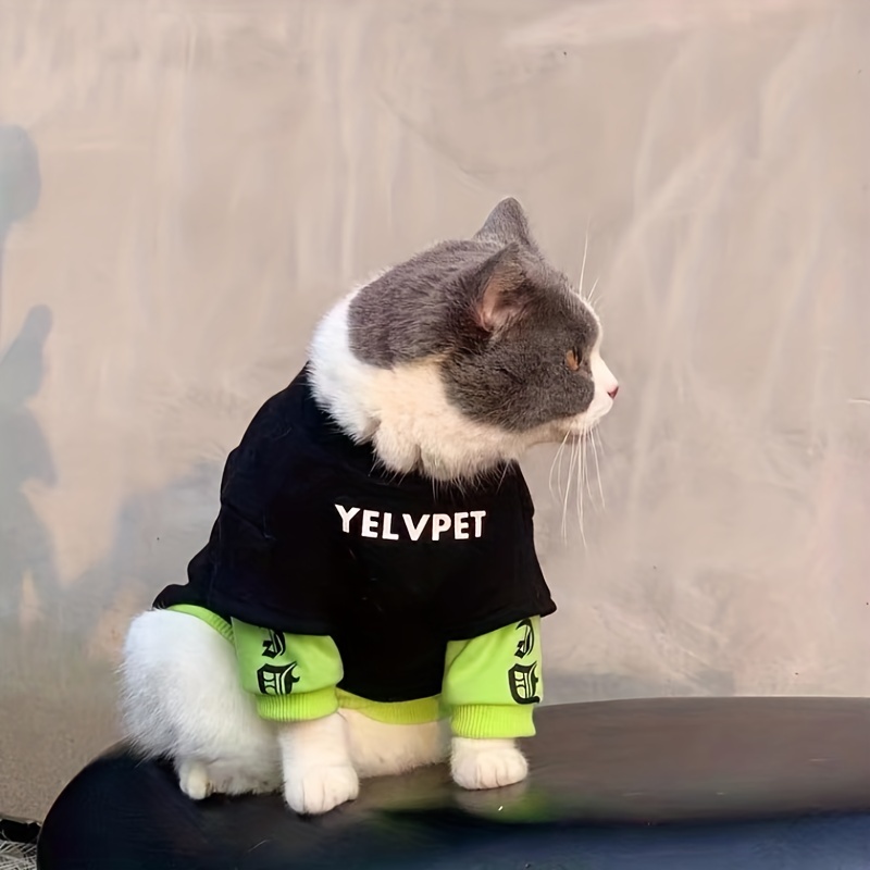 Cat security online hoodie