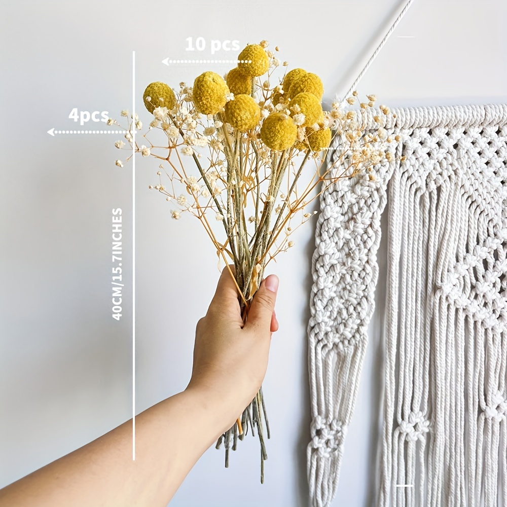 Natural Dried Flowers Yellow Craspedia Billy Balls Dried - Temu