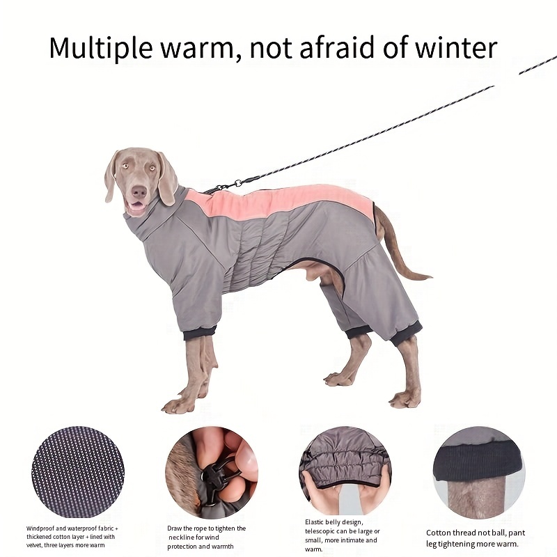 Dog body outlet warmer