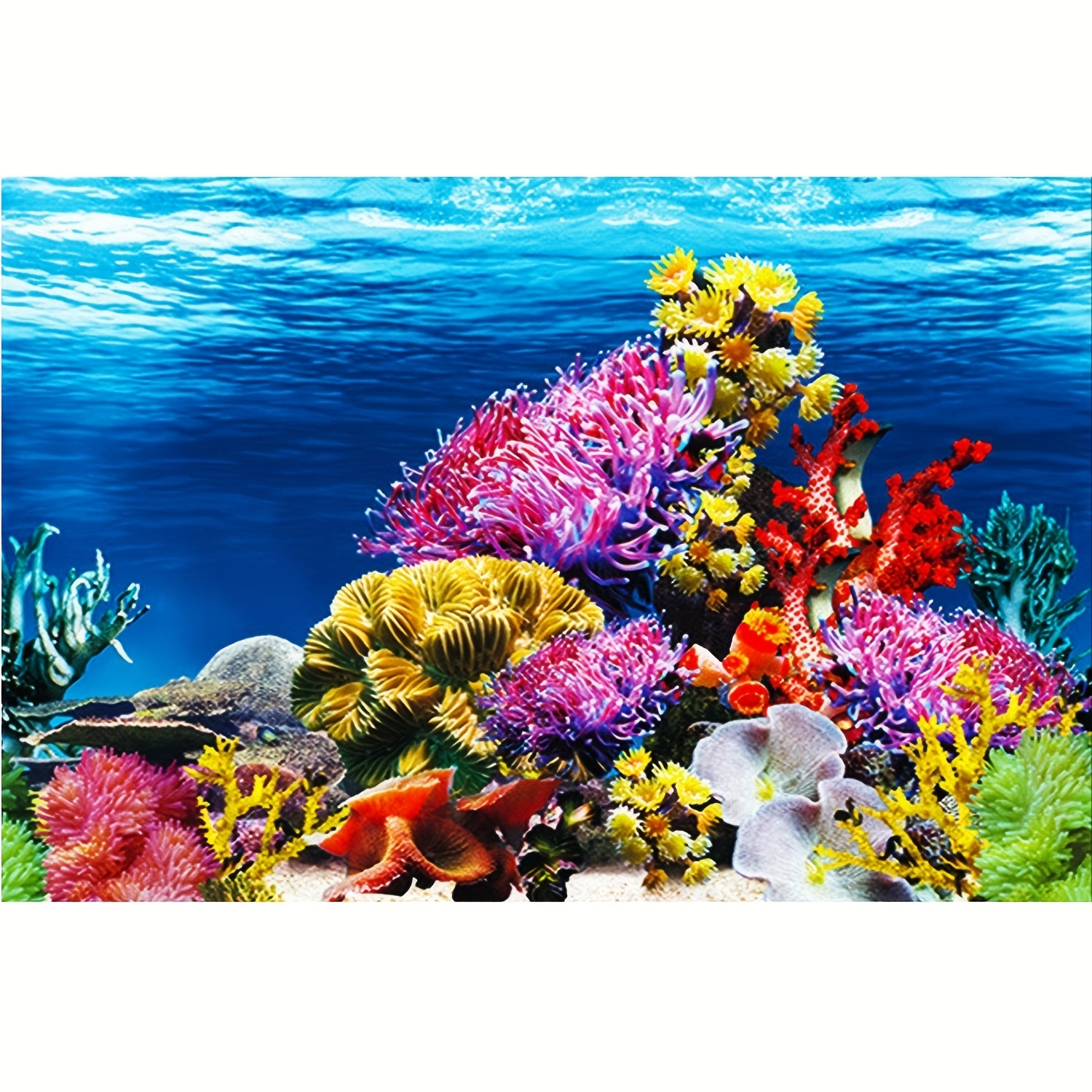Fish Tank Background Paper Wallpaper 2 Sided Colorful Seaweed