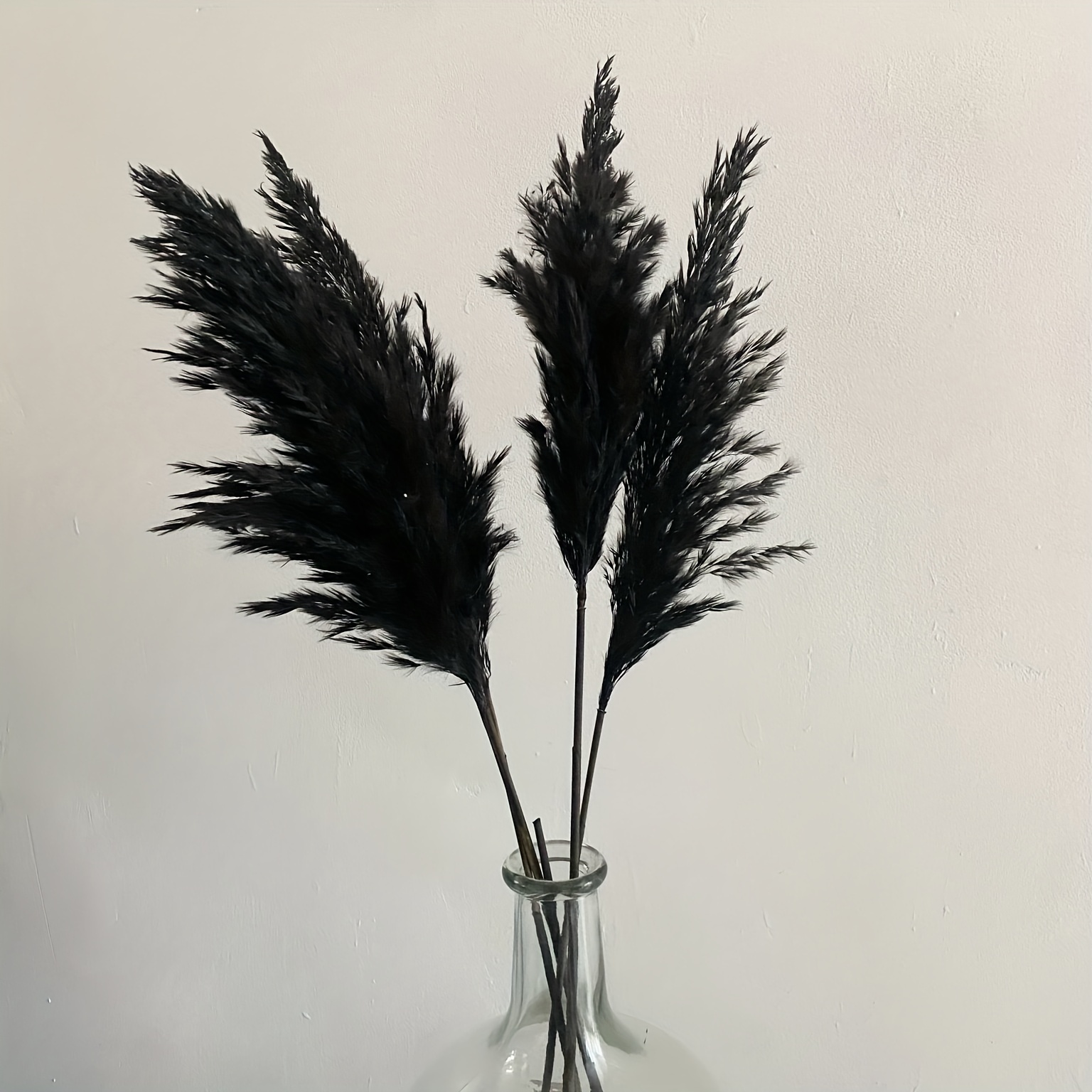 40PCS Black Pampas Grass Decor for Table Room Nature Dried Flowers