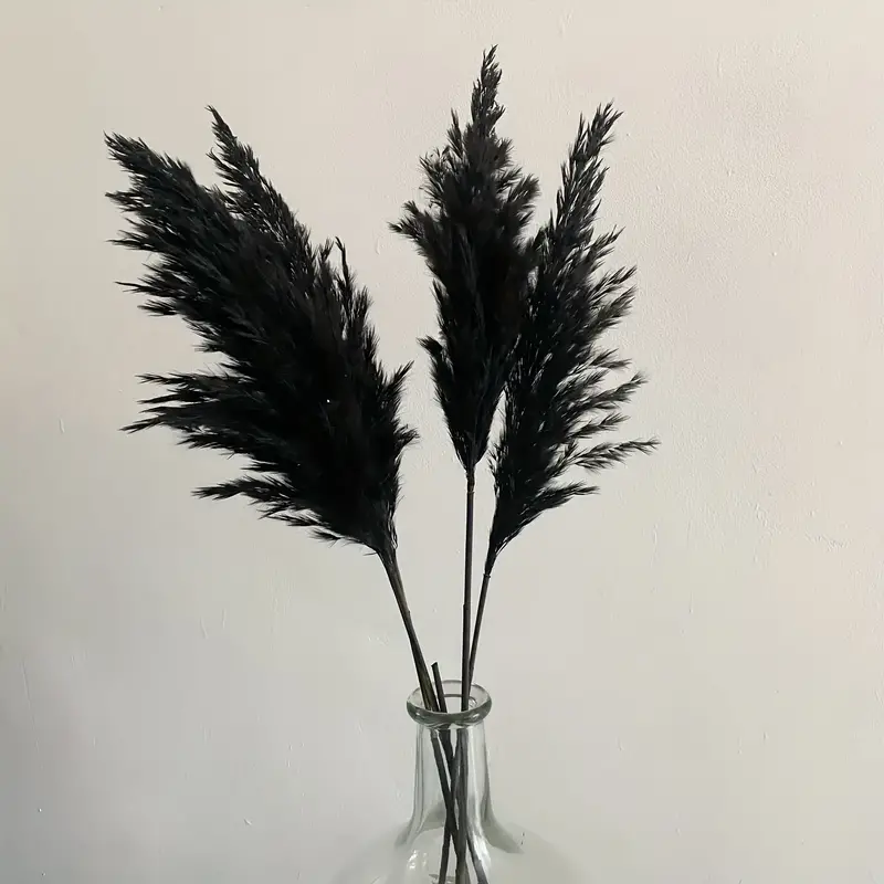 Real Dried Flowers Black Pampas Grass Gothic Flower Decor - Temu