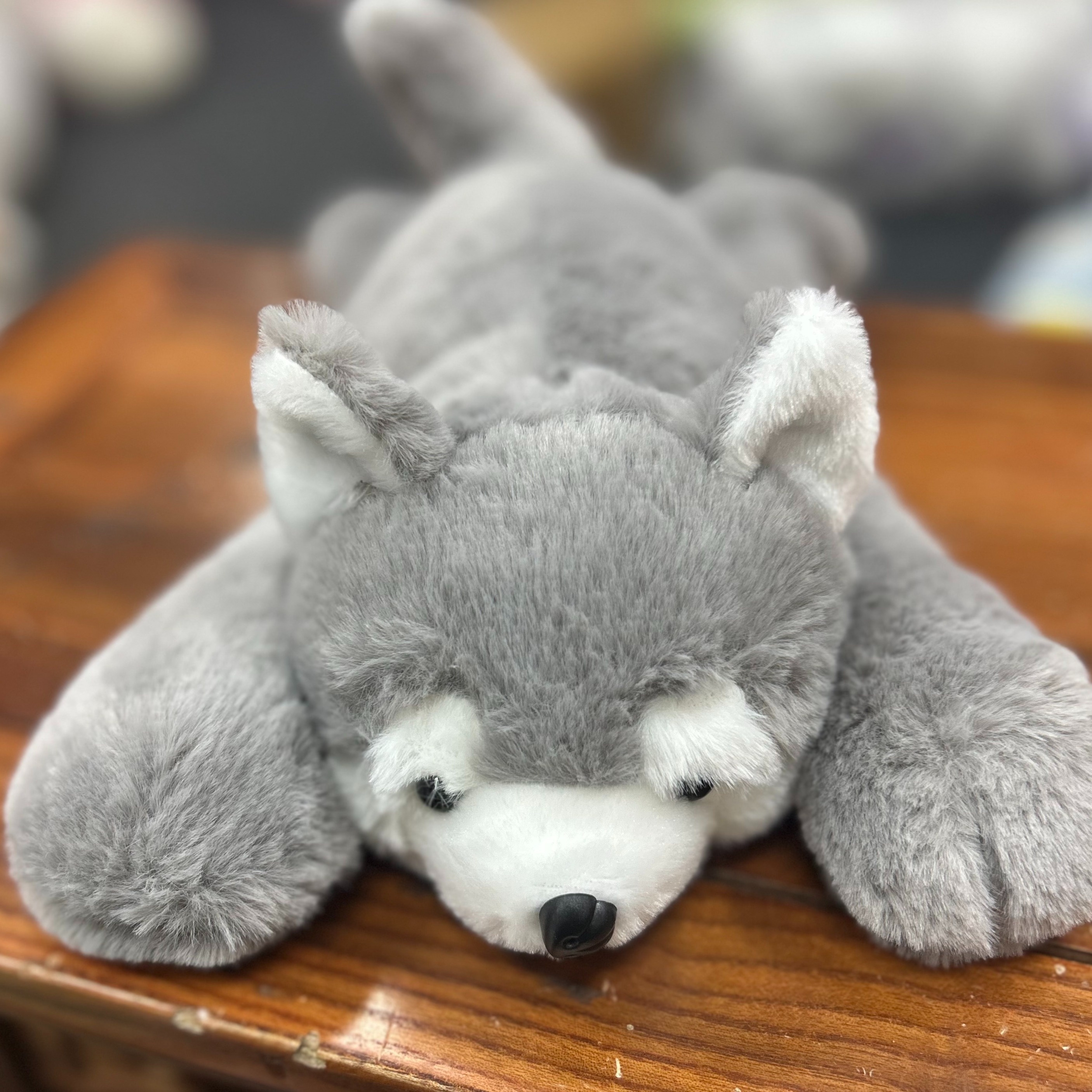 Enhopty 8 Husky Dogs Plush Husky Wolf Stuffed Animal Toys Puppy Doll  Simulation Dog Ornaments Soft Cuddle Adorable Gifts for Girls Boys Toddlers  on