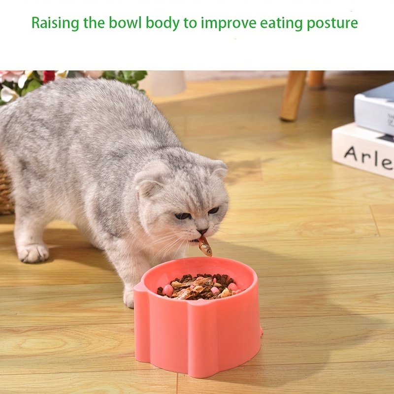 Elevated Cat Feeder Bowl, Anti-choking Raised Cat Food And Water Bowl With  Wooden Stand, Pet Feeding And Drinking Supplies For Indoor Cats - Temu