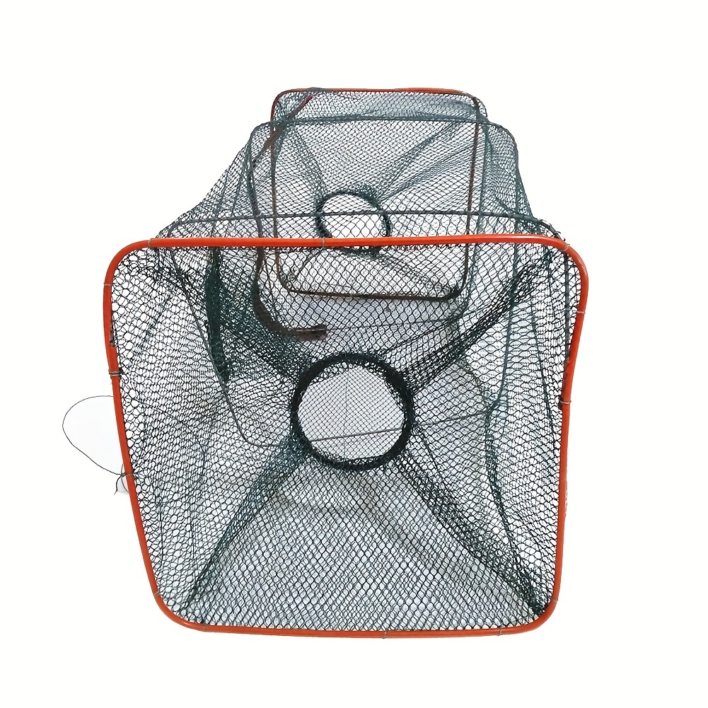Shrimp Fish Trap Telescopic Folding Fishing Net Mesh Fishnet Cage with  Feeder Creel Fordable Carpfishing Crayfish Catcher - AliExpress