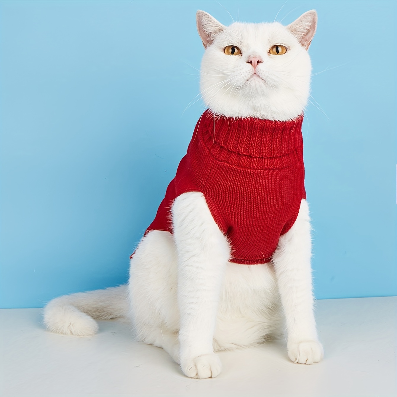 Cat clearance turtleneck sweater