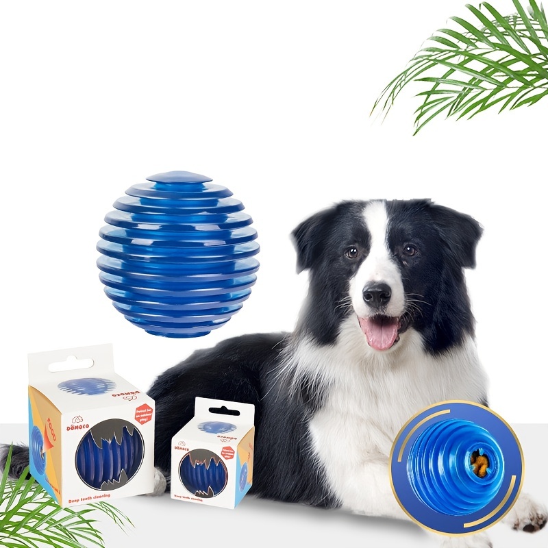 interactive toys for border collies