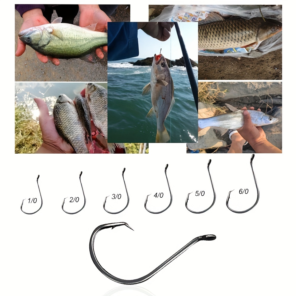 2x Strong Circle Fishing Hooks Offset Design Easy Hooking - Temu Canada