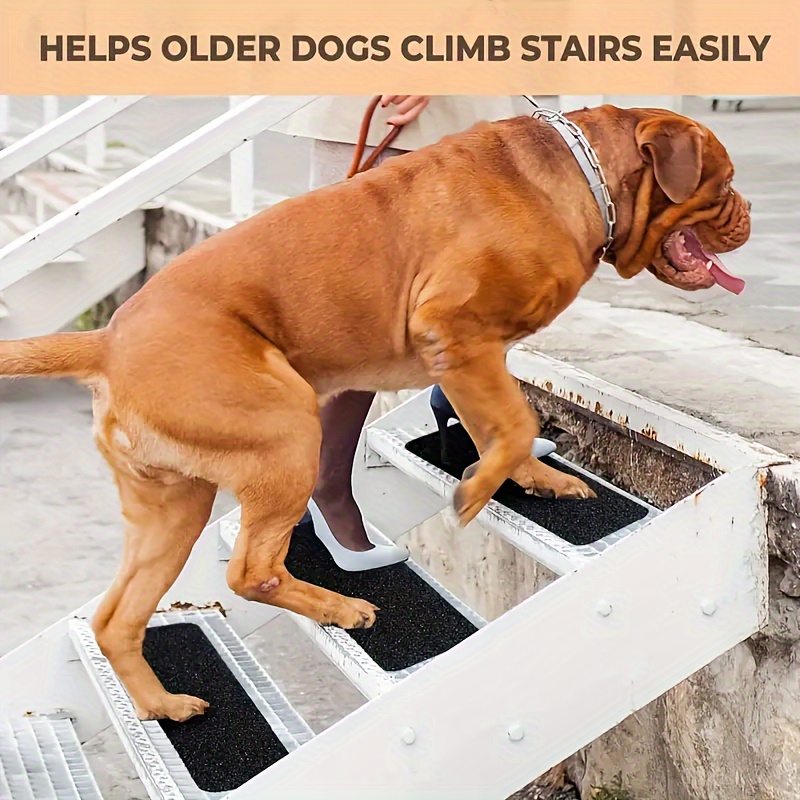 Help old clearance dogs climb stairs