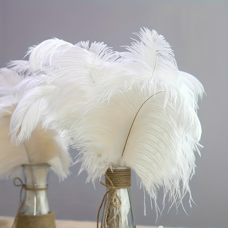 Black Fancy Feathers Vase Kit