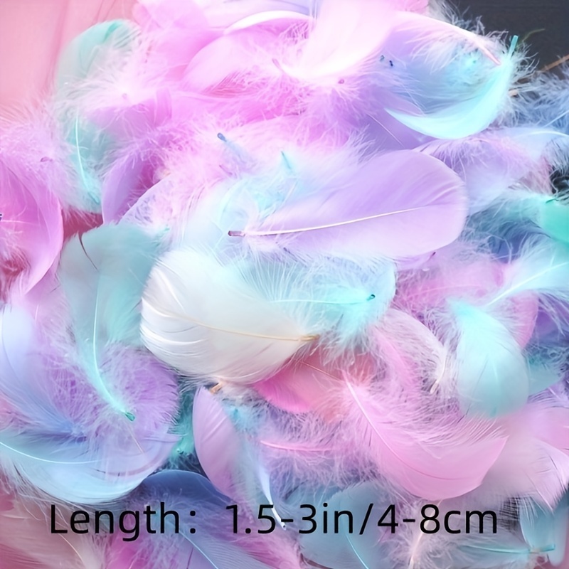 Mixed Natural Pheasant Craft Feathers Feathers For Dream - Temu