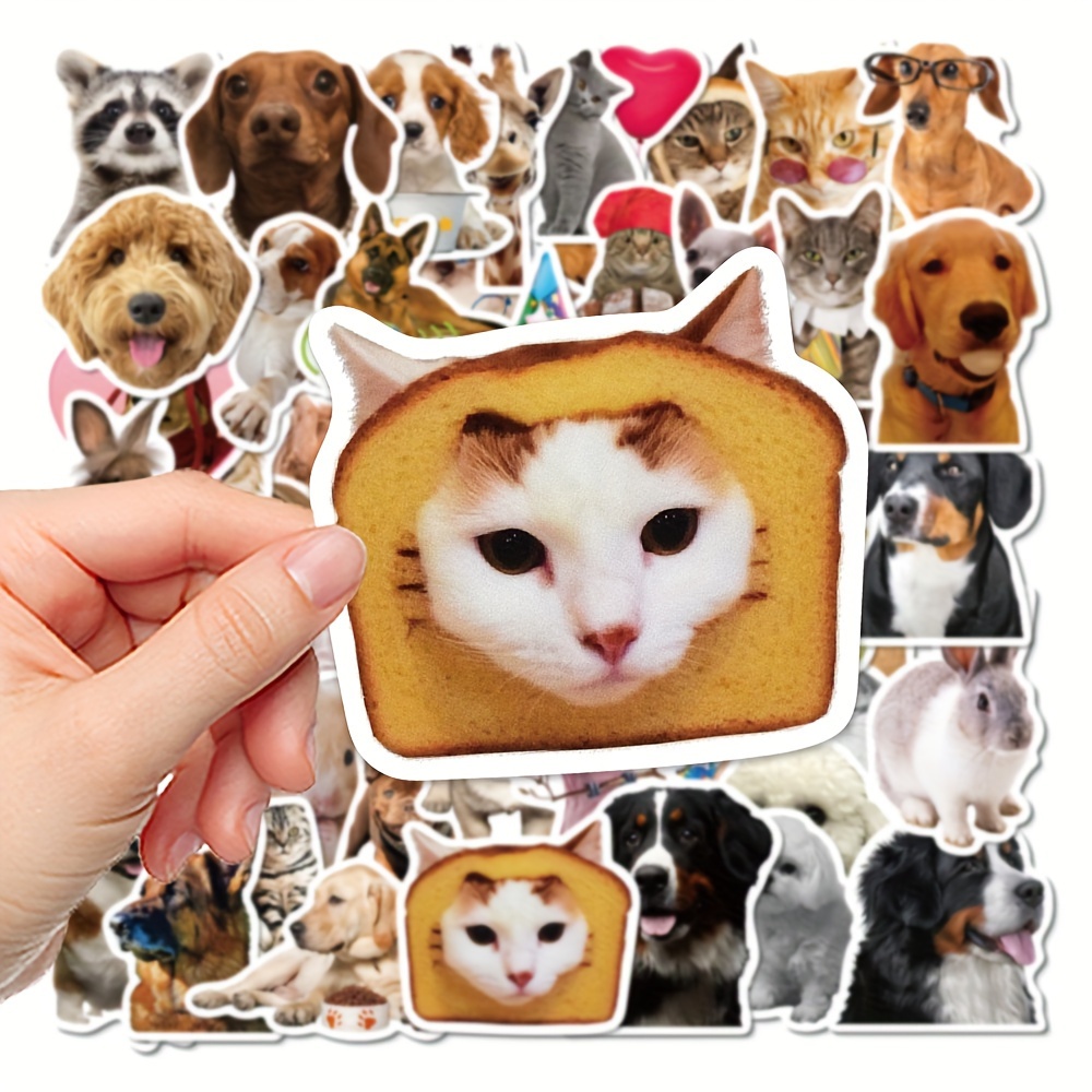  Warriors Cats Stickers 52PCS Kawaii Funny Cats Toy Stickers for  Book Graffiti Waterproof Vinyl Decals for Kids Adults Teens for Birthday  Party Supplies Decoration Favors for Water Bottles Laptop : Electronics