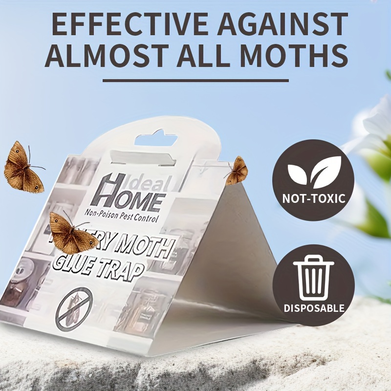 Fruit tree moth sticky trap with pheromone lure to monitor insect