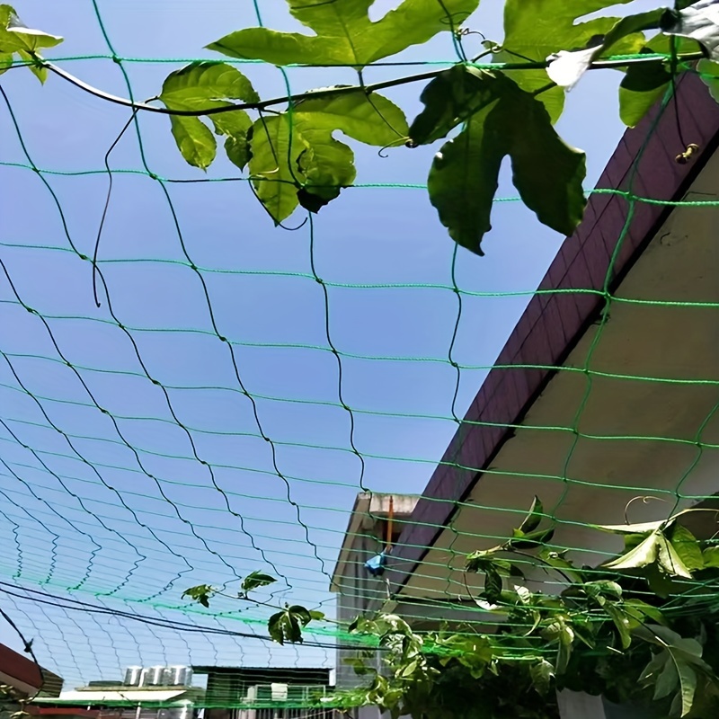 Bird Protection Net Fine meshed Bird Net Cat Net Balconies - Temu Canada