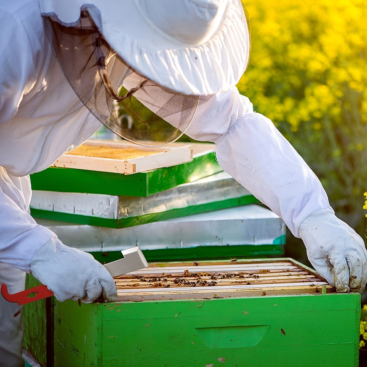 Outil de ruche de matériel apicole