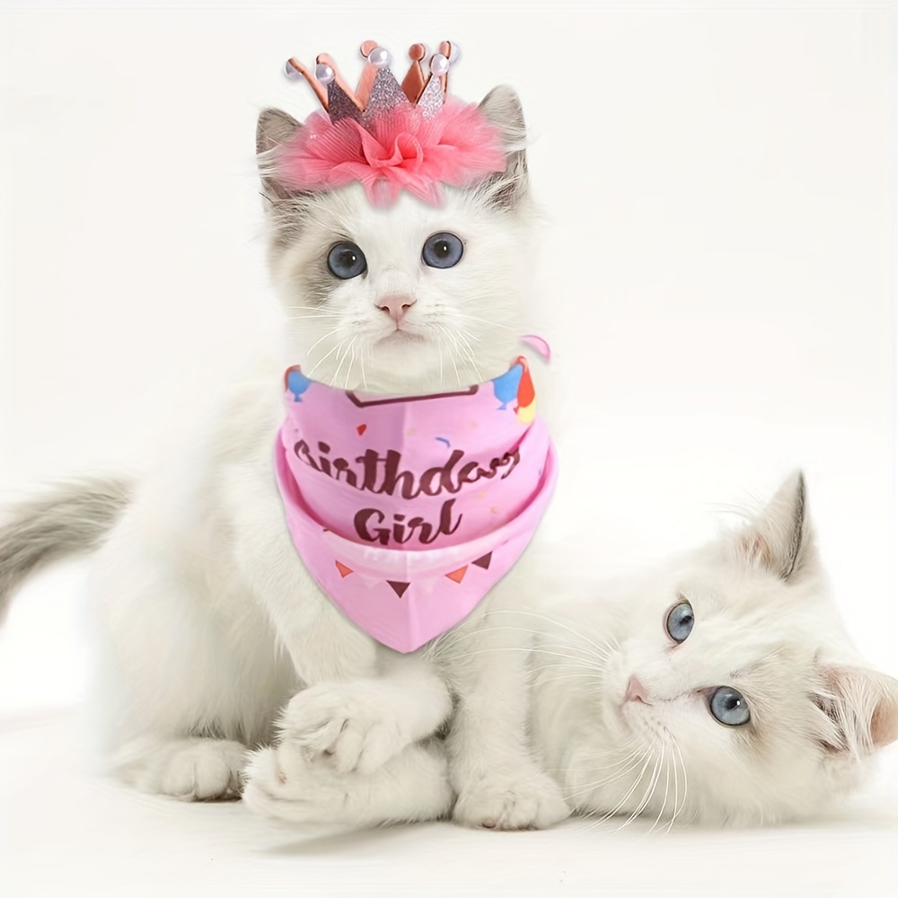 Adorable Cat Birthday Outfit with Pearl Crown Hat and Triangle Scarf -  Perfect for Celebrating Your Feline Friend's Special Day!