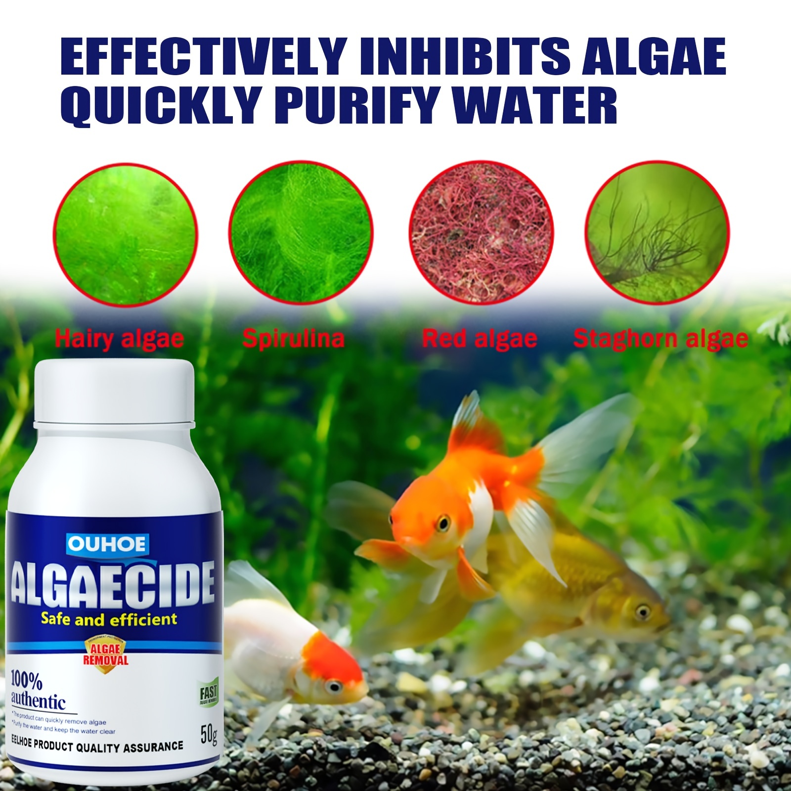 Algae tablets outlet for fish tank