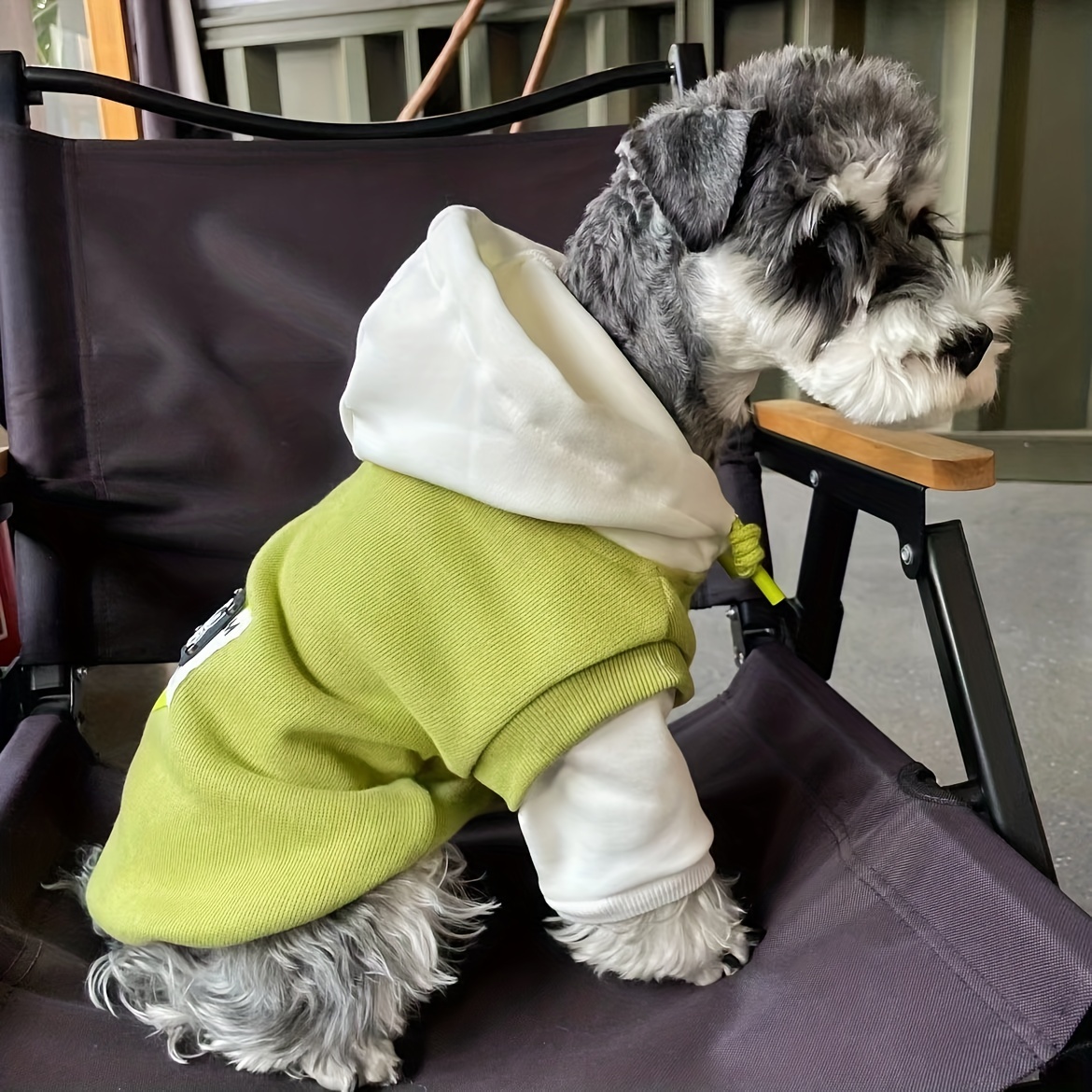 Warm Cozy Dog Hoodie for Winter