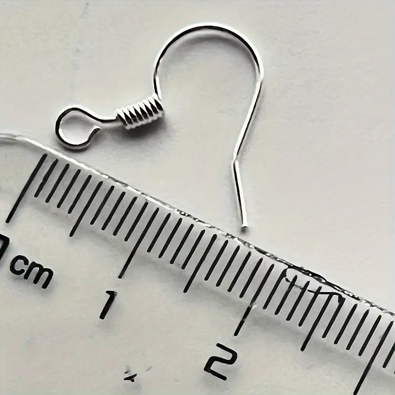 Stainless Steel Ear Hook Findings Clasps Earring Hooks For - Temu