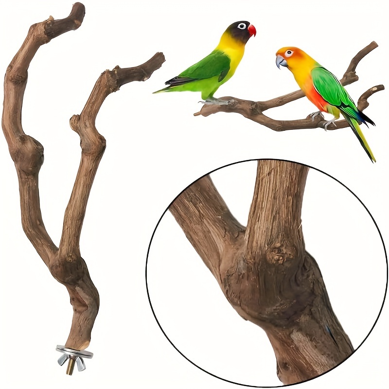 

Natural Wooden Parrot Perch Bird Stand Pole Paw Grinding Fork Parakeet Climbing Standing Branches Toy Chewable Cage Accessories For Small Budgies Cockatiels Lovebirds