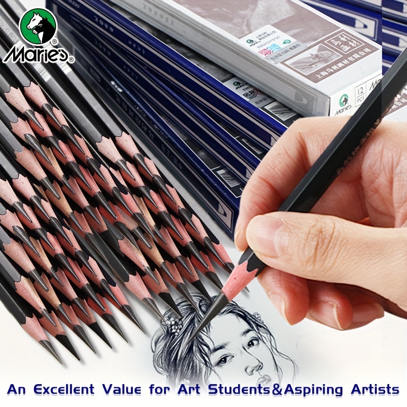 Professional Drawing Sketching Pencil Set - 12 Pieces Art Drawing Pencils(8B  - 2H), Ideal for Drawing Art, Sketching, Shading, for Beginners & Pro  Artists 