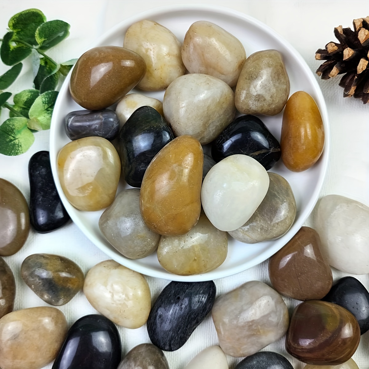 Piedras blancas para plantas, jarrones de jardín, 7 libras, rocas blancas,  grava piedra decorativa de 1/2 pulgada