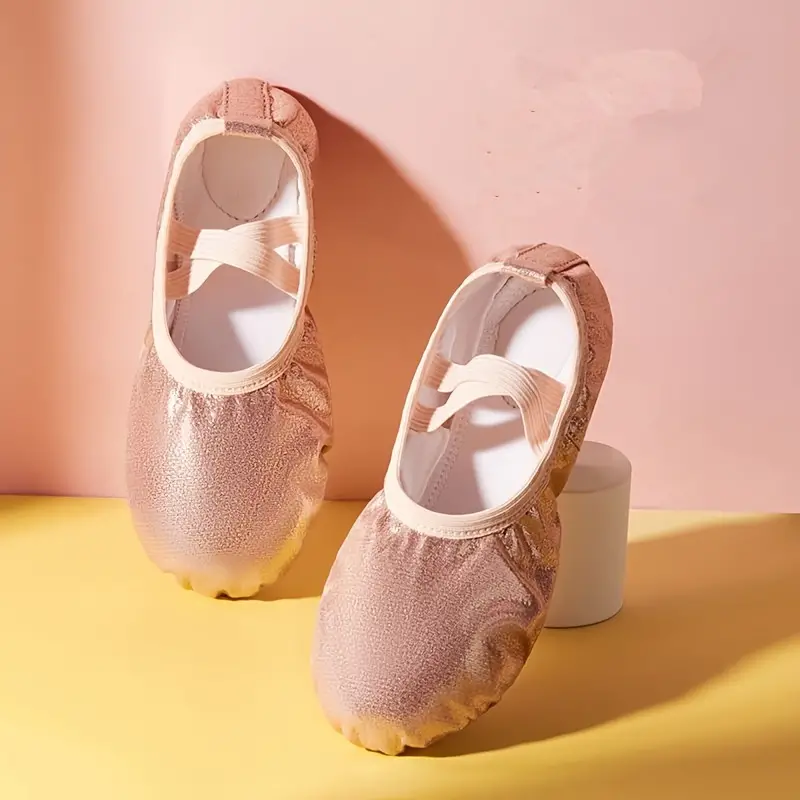 Buy Ballet Shoes for Women Girls, Women's Ballet Slipper Dance Shoes Canvas  Ballet Shoes Yoga Shoes Pink at