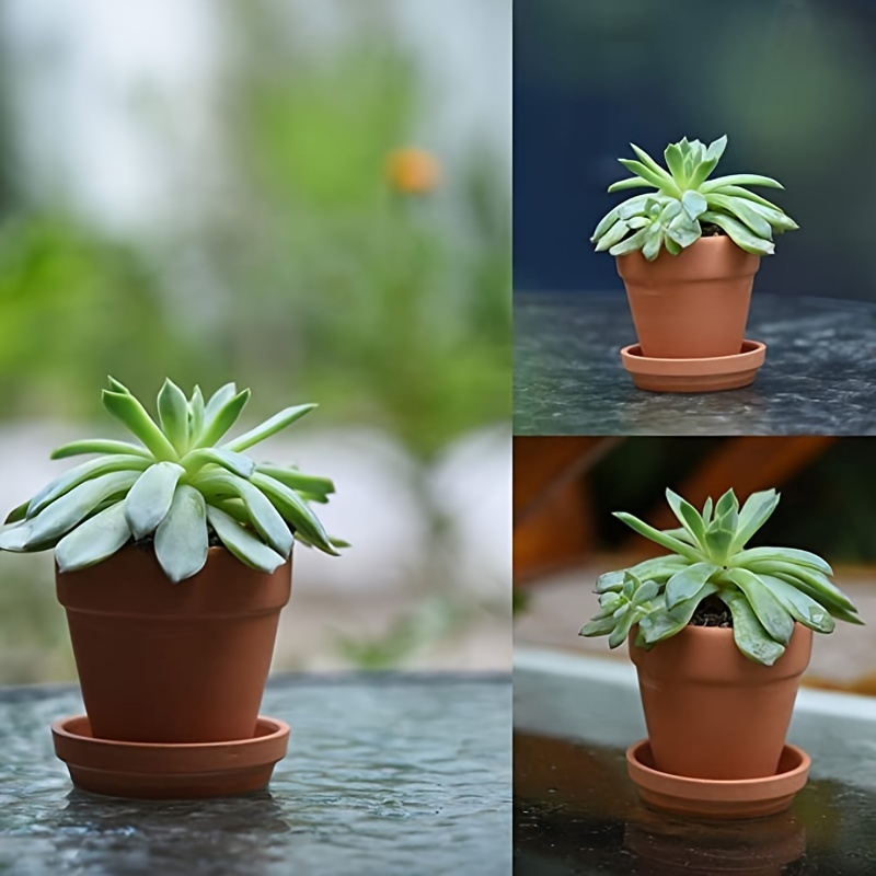 pot risers for plants Large Plant Pot Feet Risers Set of 3, PETG, UV and Shutter Resistant   GLU3D Prints