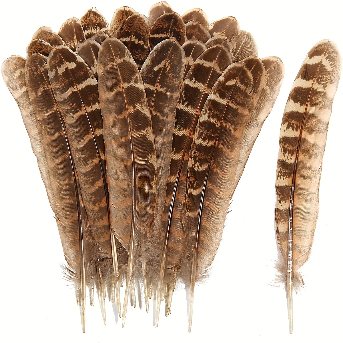 40pcs Natural Pheasant Feathers, Spotted Feathers, Turkey Feathers, 4  Styles 