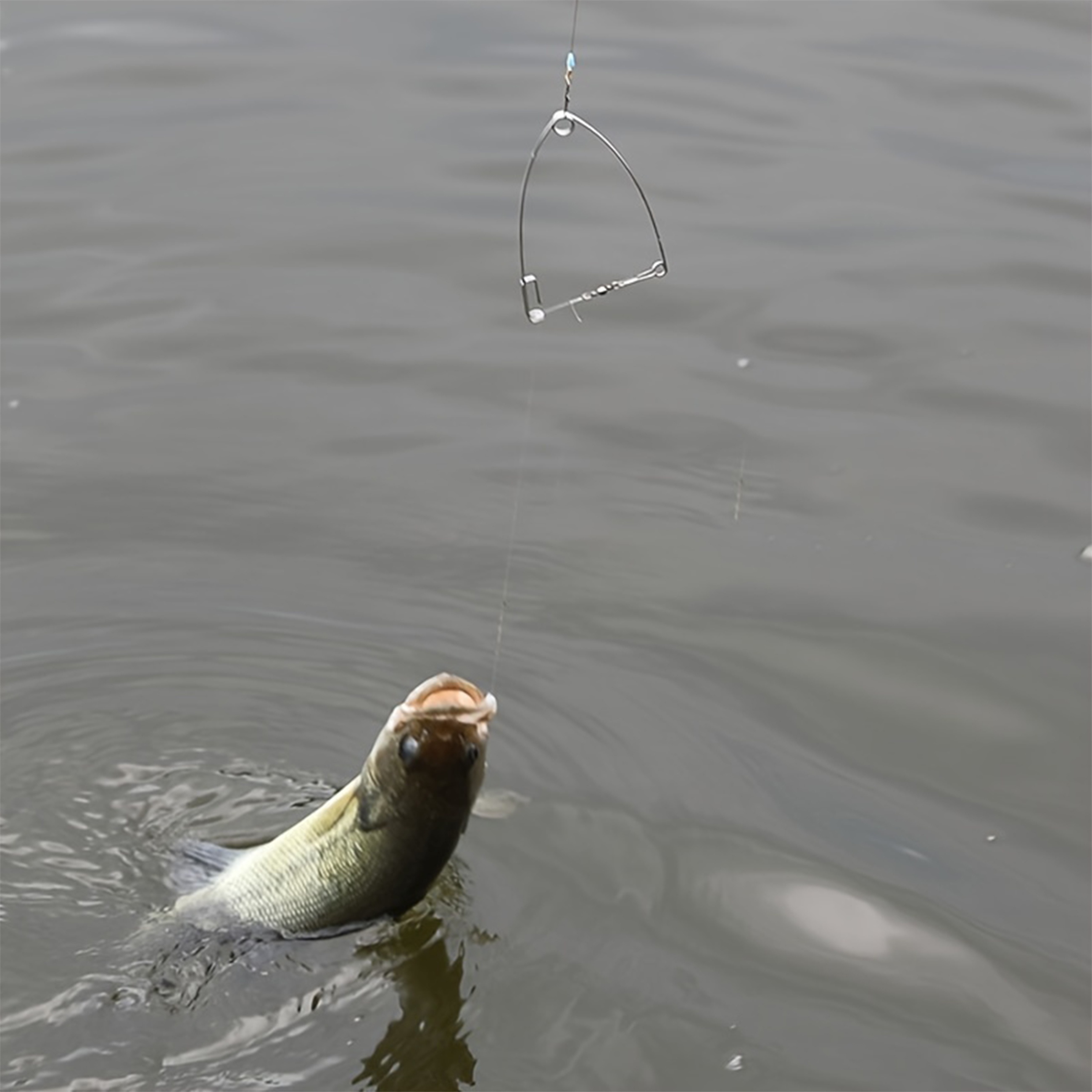 Automatic Fishing Hook Setter Spring Loaded Self Setting - Temu Canada