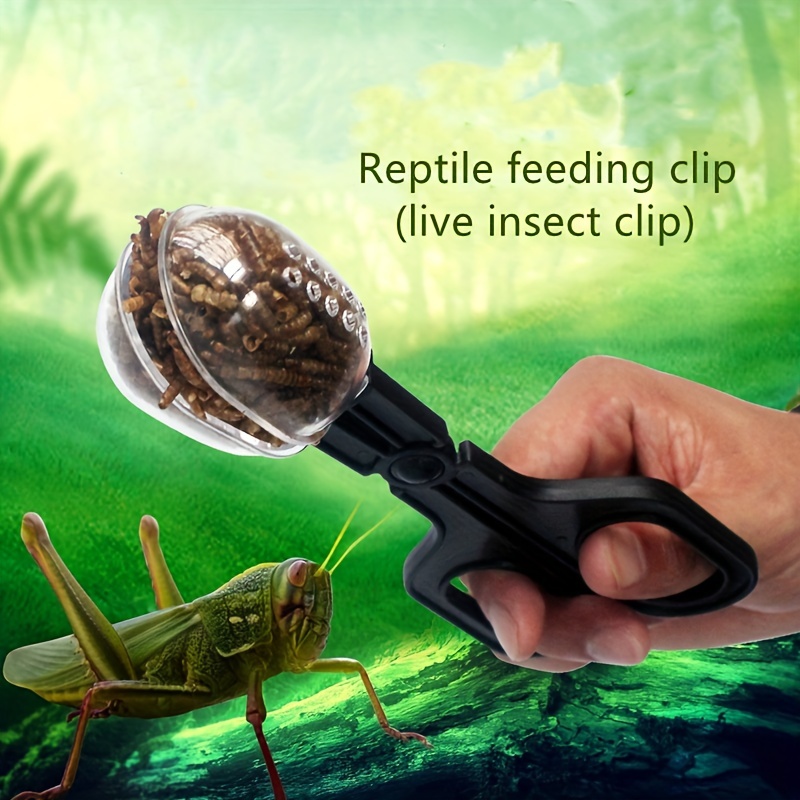 Insect Catcher Lizard Transparent Feeding Cleaning Dual use - Temu Canada
