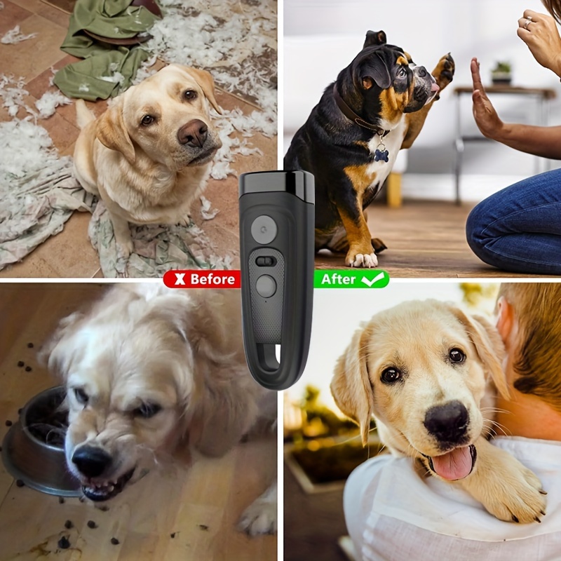 5 Best Dog Training Tools